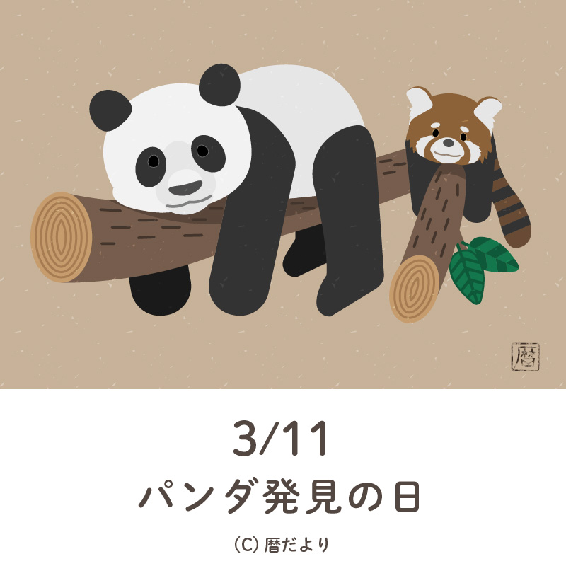 【今日は何の日】3月11日パンダ発見の日