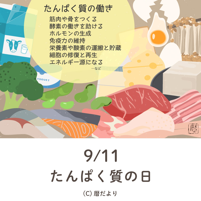 【今日は何の日】9月11日たんぱく質の日
