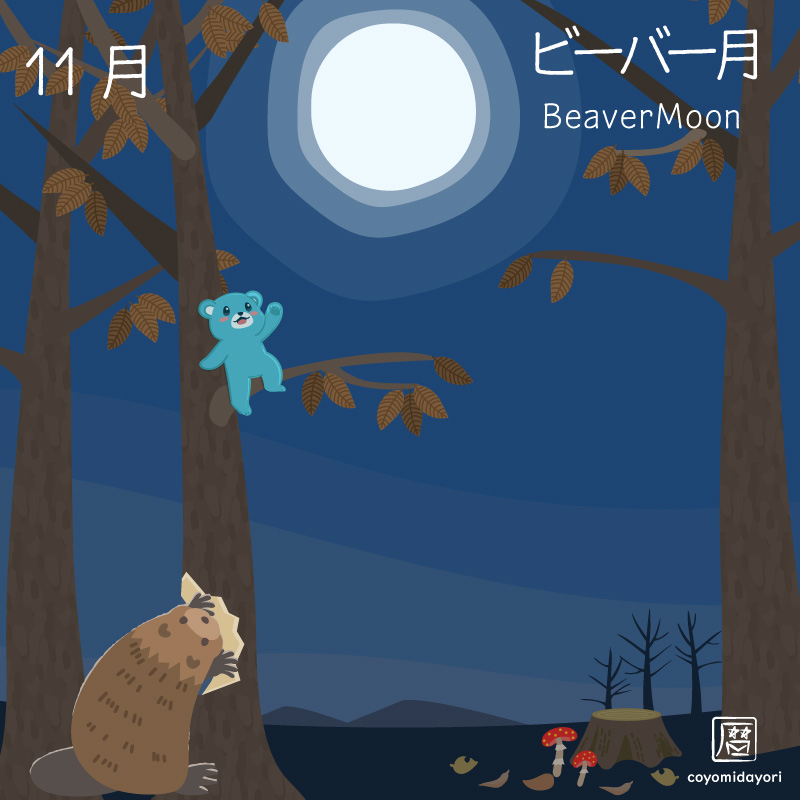 11月の満月「ビーバームーン」